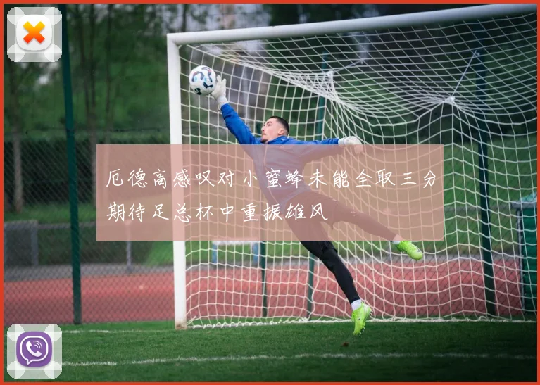 厄德高感叹对小蜜蜂未能全取三分期待足总杯中重振雄风