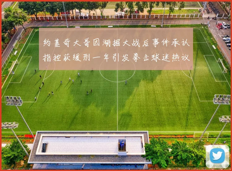 约基奇大哥因湖掘大战后事件承认指控获缓刑一年引发拳击球迷热议