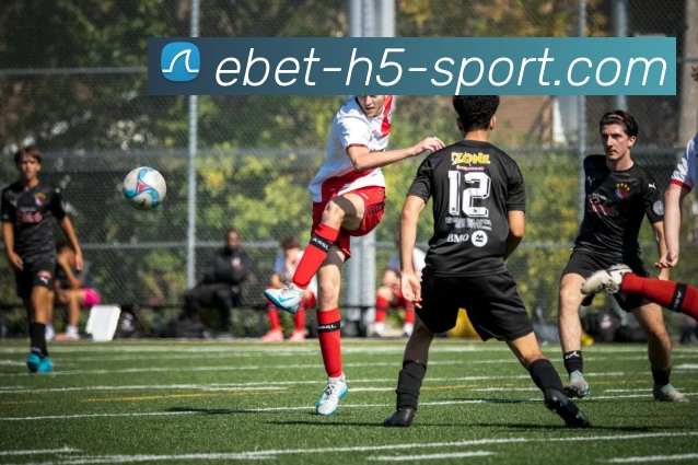 多媒体互动体验