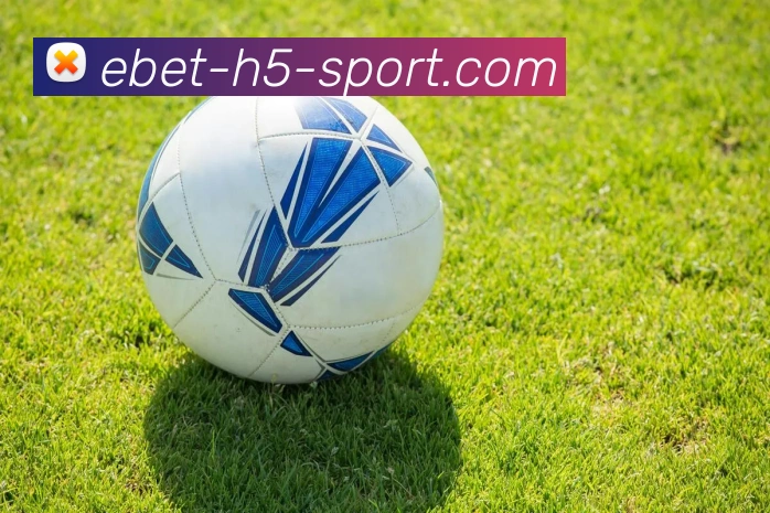 易倍体育APP 体育赛事宣传图